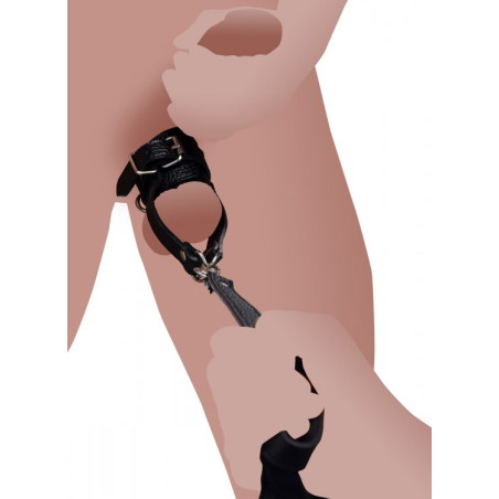 Ballstretcher avec laisse pour tirer les testicules