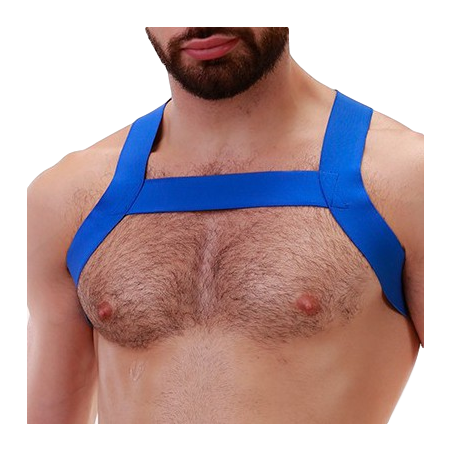 Harnais élastique MATT Bleu