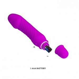 Vibromasseur STEV Pretty Love 11 x 2.8 cm Violet