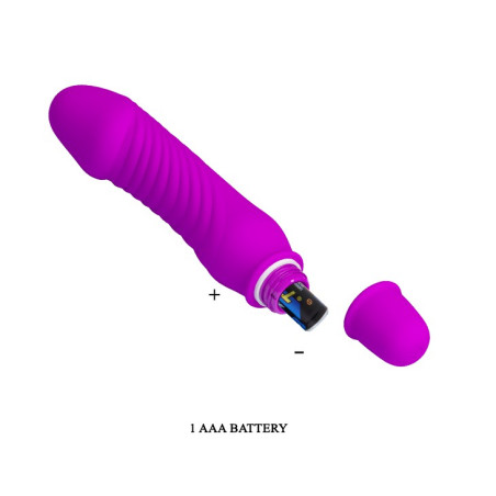 Vibromasseur STEV Pretty Love 11 x 2.8 cm Violet