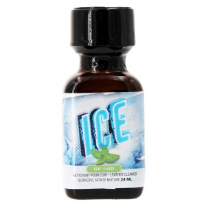  ICE Mint Menthe 24mL propyle