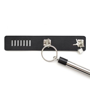 Barre d'attache pour Chevilles 50cm
