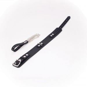Collier et Laisse Delux Collar Noir