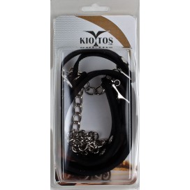Collier et Laisse Delux Collar Noir 2