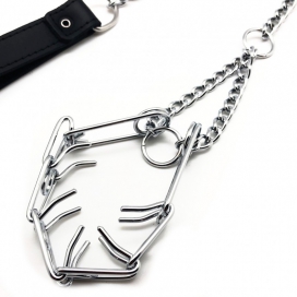 Laisse avec collier étrangleur pour pénis 2