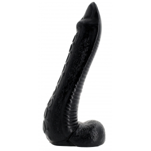 NAUTILA 19 x 5.8 cm