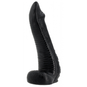 NAUTILA 19 x 5.8 cm