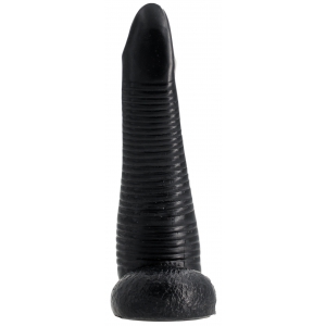 NAUTILA 19 x 5.8 cm