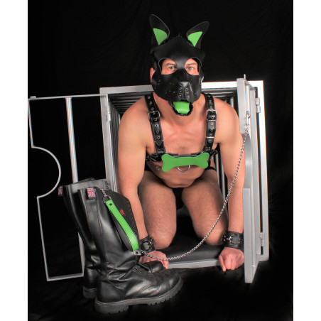Langue et oreilles en cuir PUPPY Vert | Accessoires de Dog Training