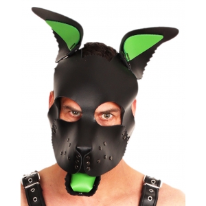 Langue et oreilles en cuir PUPPY Vert | Accessoires de Dog Training