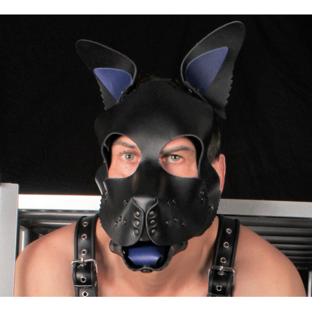 Oreilles et Langue en cuir PUPPY Bleu | Accessoires Dog training