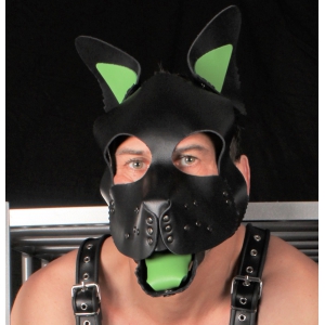 Langue et oreilles en cuir PUPPY Vert | Accessoires de Dog Training