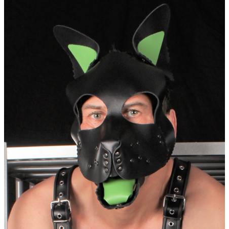 Langue et oreilles en cuir PUPPY Vert | Accessoires de Dog Training
