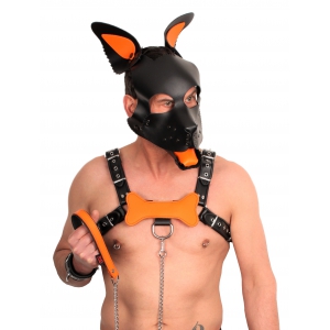 Oreilles en cuir et Langue PUPPY Orange | Accessoires de Dog training