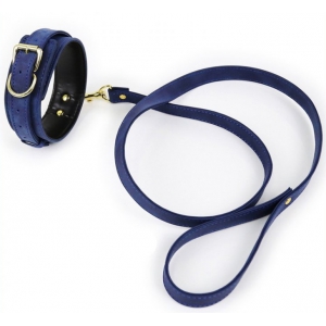 Collier Laisse LIGHTY Bleu