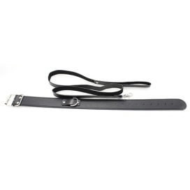 Collier Laisse Premium 2