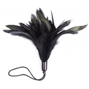Accessoire de chatouilles HORN TICKLER Noir