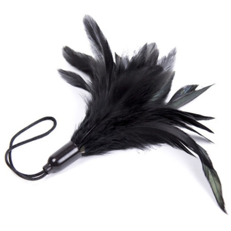Accessoire de chatouilles HORN TICKLER Noir