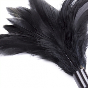 Accessoire de chatouilles HORN TICKLER Noir