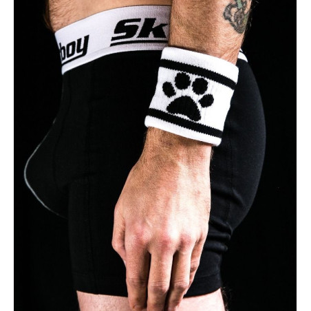 Bandeau DOG PAW Sk8erboy