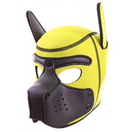Cagoule PUPPY Néoprène Jaune-Noir 2