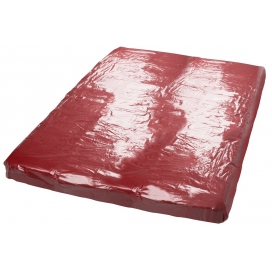 Bâche en Vinyle LACK 200 x 230 cm Rouge foncé 2