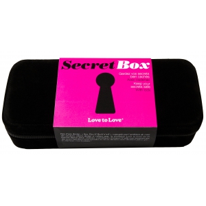 Boîte de rangement pour Sextoys SECRET BOX Noir