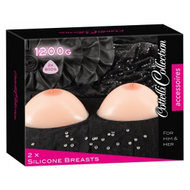 Prothèses Seins en silicone 2 x 600g 2