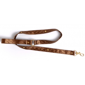 Collier et Laisse DARLING PET Bronze 1m 2