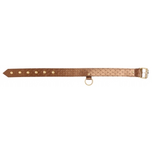 Collier et Laisse DARLING PET Bronze 1m
