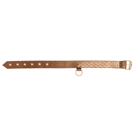 Collier et Laisse DARLING PET Bronze 1m