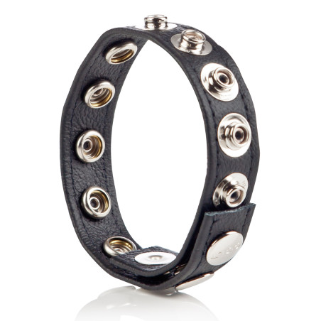Cockring Ajustbale n Cuir de COLT avec 8 pressions