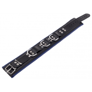 Collier rembourré en cuir 3 Anneaux D Bleu