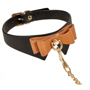 Collier et Laisse BUTLER Noir et Marron
