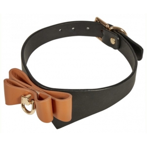 Collier et Laisse BUTLER Noir et Marron