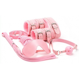 Coffret BDSM 7 Pièces WICKED Rose
