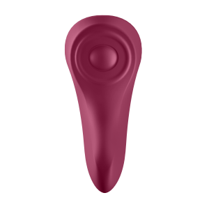 Stimulateur de clitoris SEXY SECRET - Panty Vibrator Satisfyer