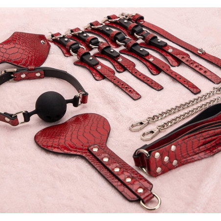 Kit BDSM 7 Pièces CAÏMAN Rouge