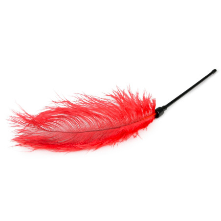 Plumeau TEASING Rouge 56cm