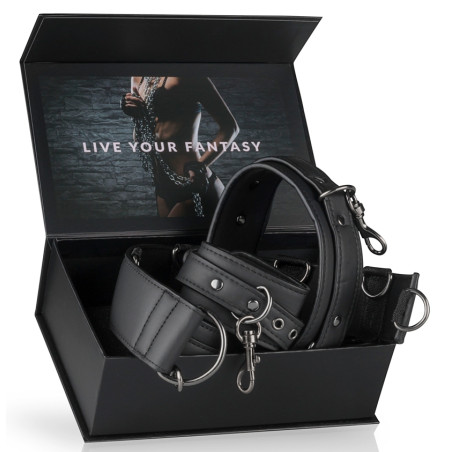 Collier et Menottes RESTRAINT SET Simili