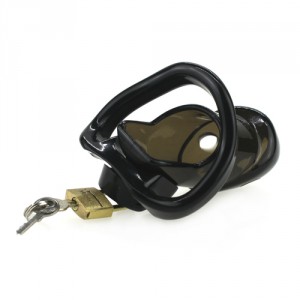 Cage de chasteté RICKERS 9 x 3cm Noire
