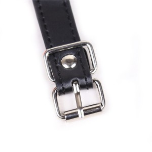 Baillon SM lips rouge et harnais