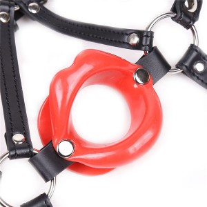 Baillon SM lips rouge et harnais