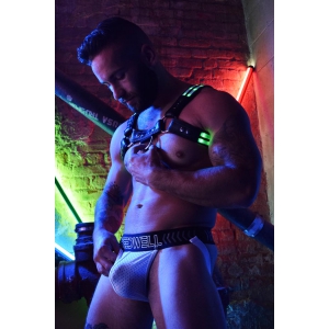 Harnais lumineux RAVE BULLDOG Breedwell