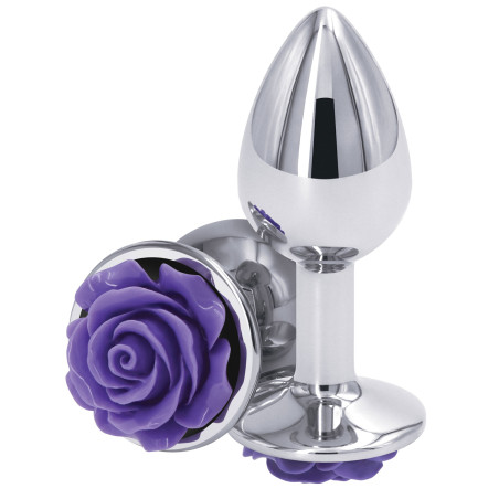 Plug Bijou REAR S 6 x 2.7cm Argenté-Violet