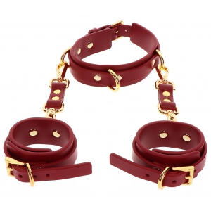 Collier D-RING + Menottes de poignets TABOOM Rouge