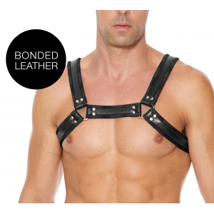 Harnais BUCKLE BULLDOG Noir