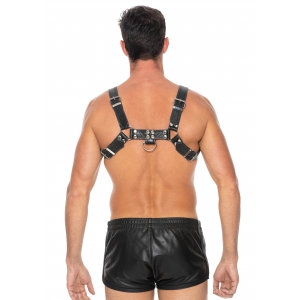 Harnais CHEST BULLDOG Noir