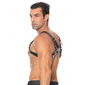 Harnais CHEST BULLDOG Noir