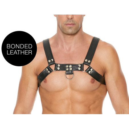 Harnais CHEST BULLDOG Noir